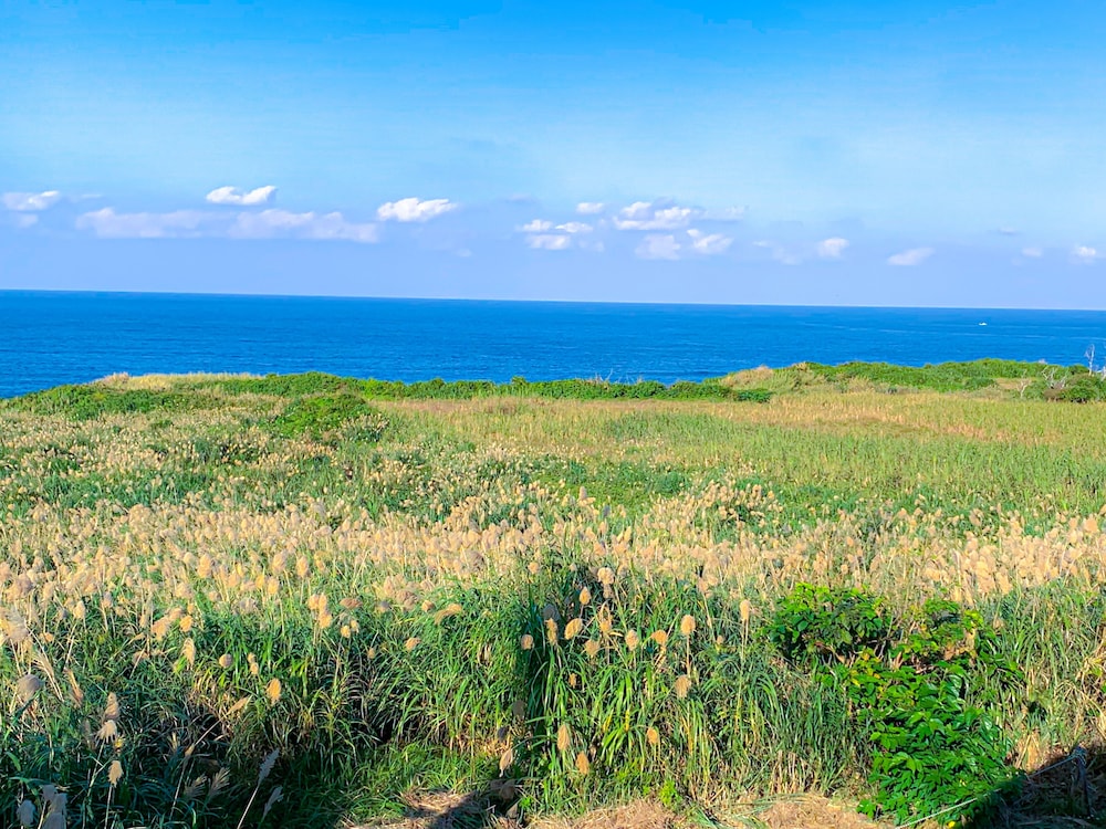 ダブルルーム クイーンベッド 1 台 バルコニー オーシャンビュー 部屋からの景観3 | Kouriisland hotel cava