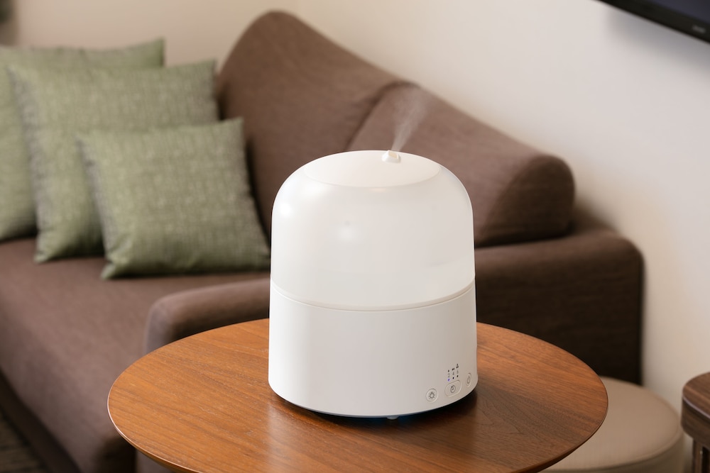 デラックス ツインルーム 客室の設備とサービス0 | ほとりのホテル Ban