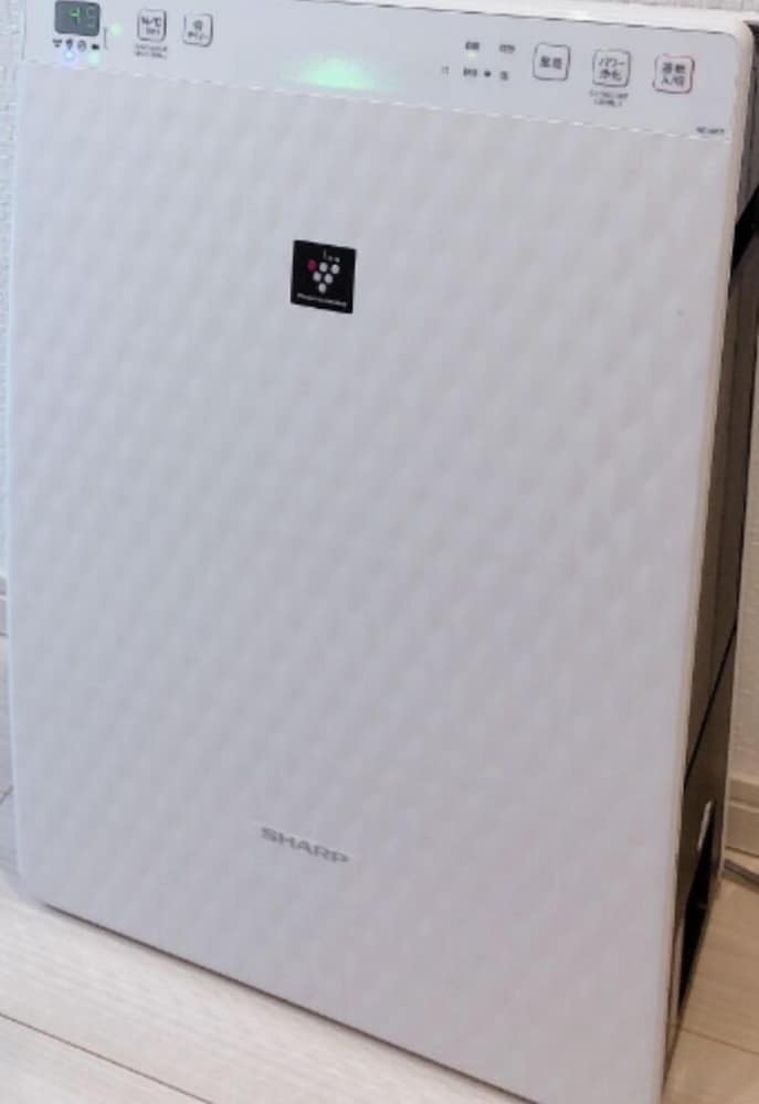 303 客室2 | ヨーロピアンハウス冷泉