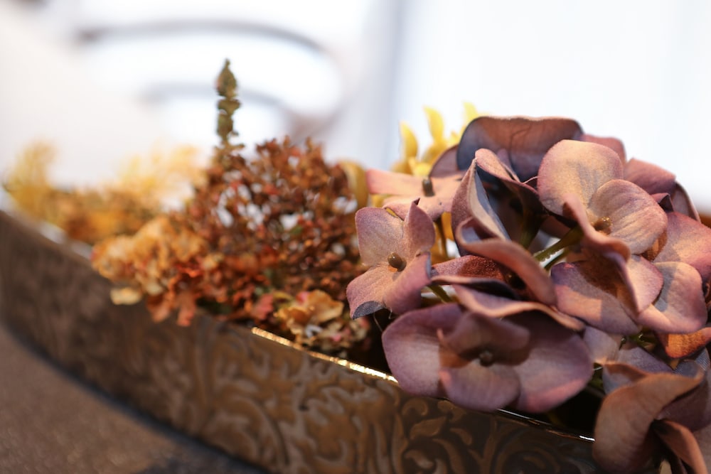 ベーシックA　禁煙 客室1 | グランドベース博多シティ