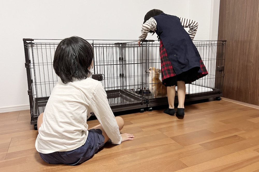 コンドミニアム ダブルベッド2台 (ペット2匹同宿可) 禁煙 客室10 | コーラルゲートイン久米