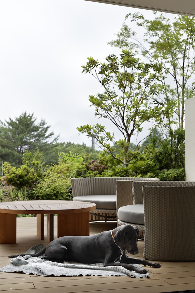 スイート 禁煙 (Spa Suite - Dog Friendly) 部屋からの景観0 | ソラノホテル