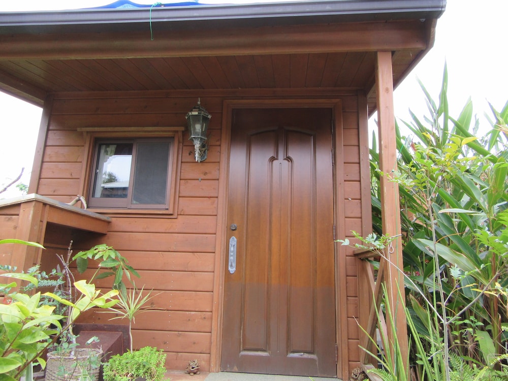 メインイメージ | やんばるの森 メインイメージ | やんばるの森