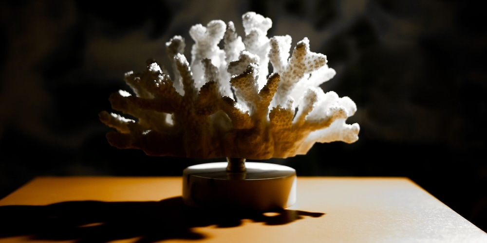 ダブルルーム 客室の設備とサービス0 | The Moana