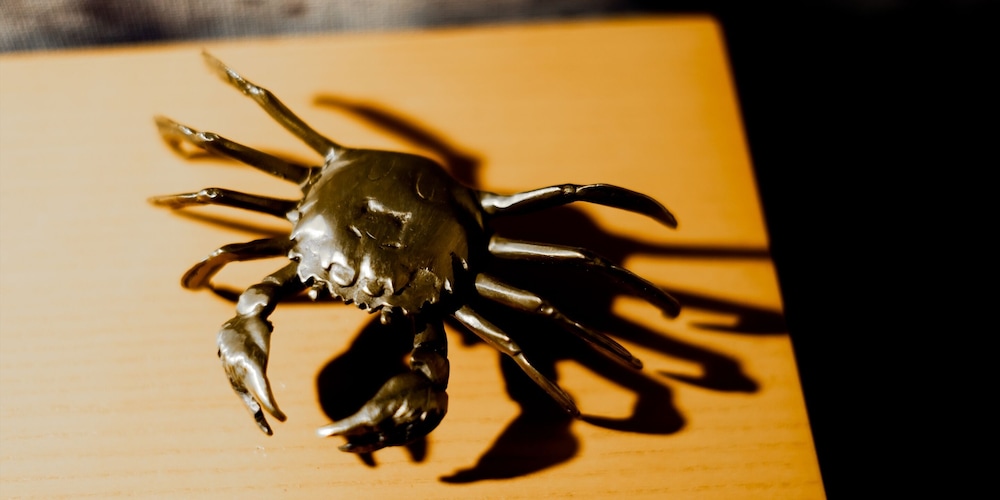 ダブルルーム 客室5 | The Moana