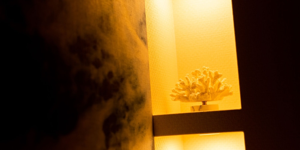 ダブルルーム 客室の設備とサービス7 | The Moana