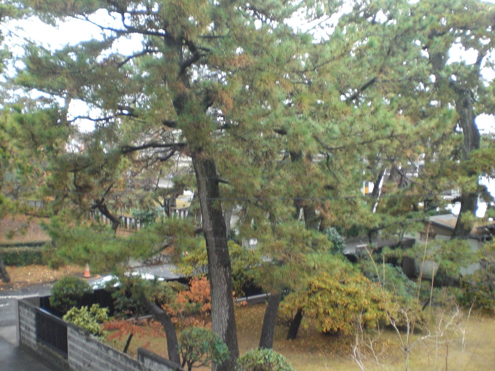 スタンダード ツインルーム 禁煙 客室2 | みなとオアシス沼津