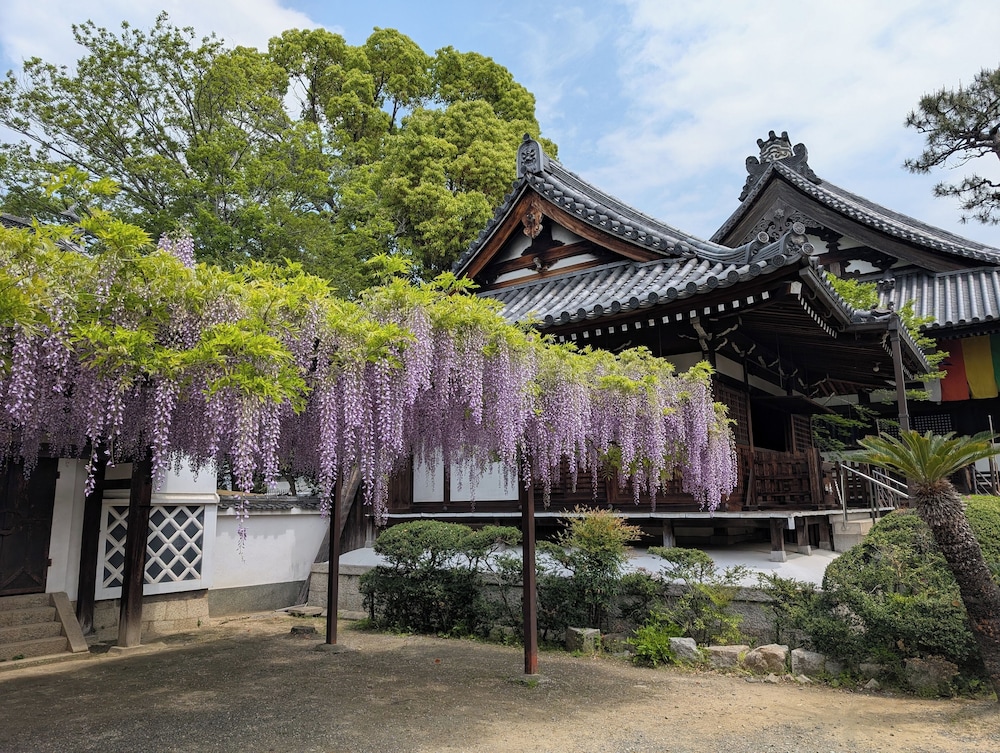 観光スポット1 | ゲストハウス 庵 (いおり) 大阪