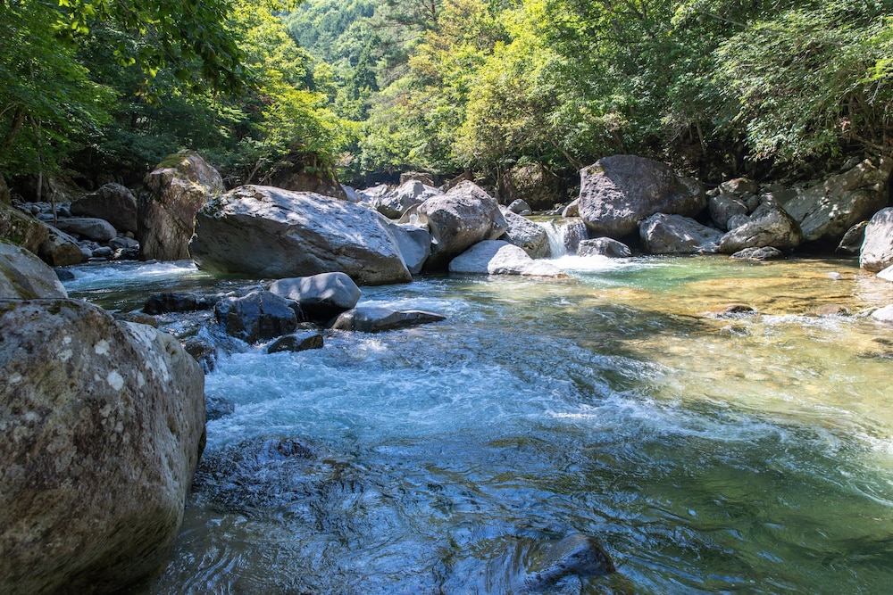 苅安/位山 離れ 禁煙 客室1 | 倭乃里