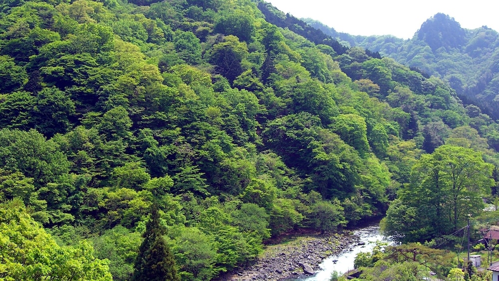 和洋室 (和室12畳+ツインベッド) 禁煙 マウンテン ビュー0 | 日光 千姫物語