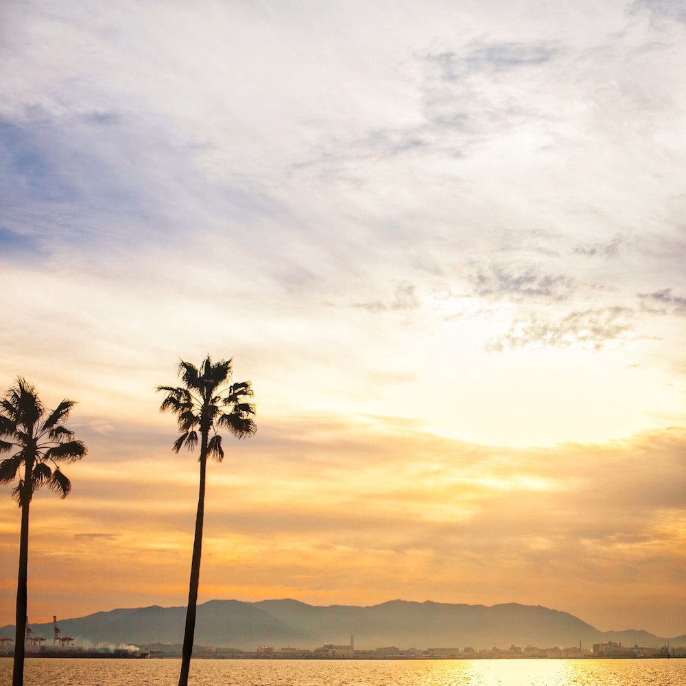 グランドツイン(2-5F) ビーチ / オーシャン ビュー0 | ザ ルイガンズ スパ アンド リゾート