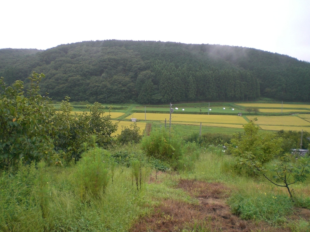 和室8畳＋6畳 部屋からの景観0 | 柿農園