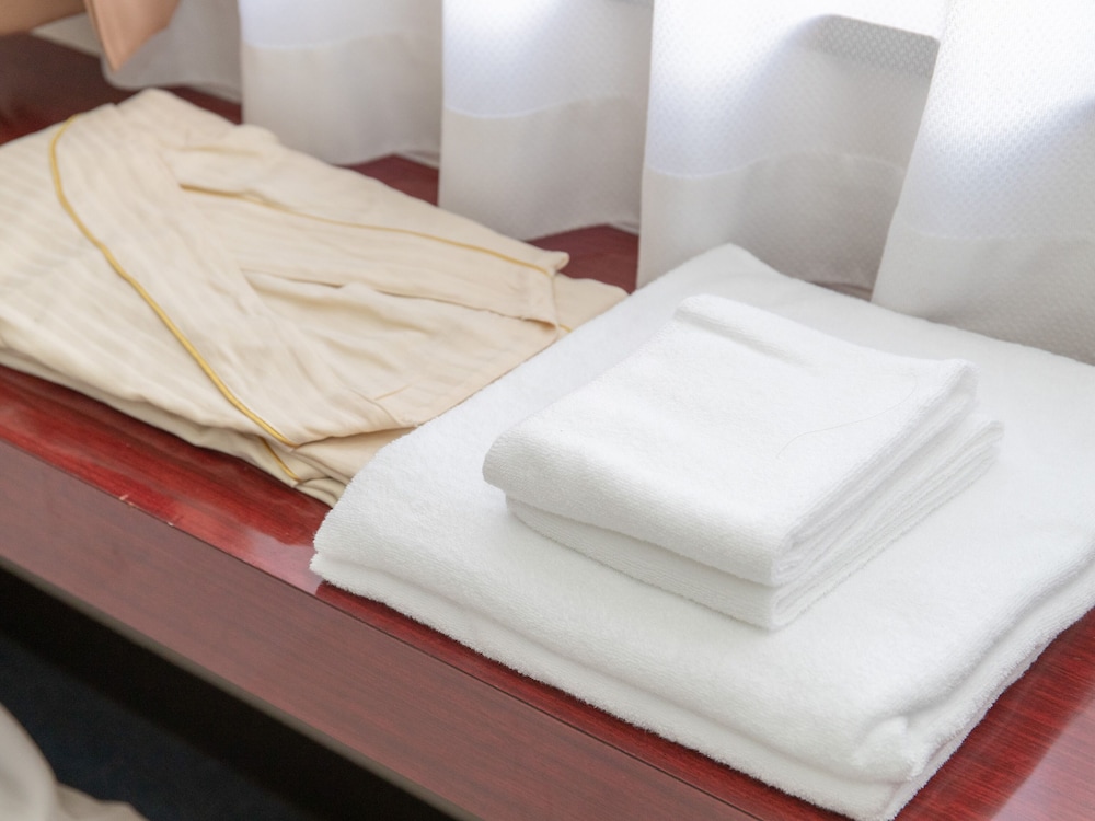 ツインルーム 禁煙 客室5 | Tabist レイズホテルすいせん