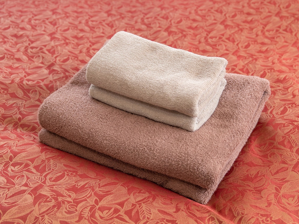 ツインルーム 客室8 | Tabist レイズホテルやかた