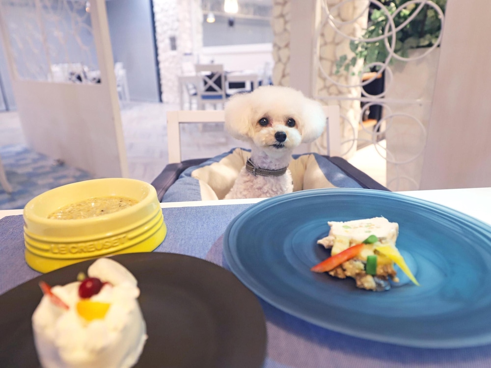 レストラン1 | Wan's Resort 城ヶ崎海岸