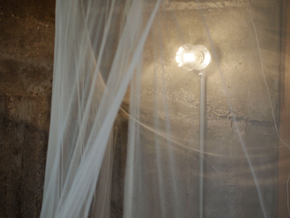 古民家 一棟貸し 客室1 | フクギに囲まれた家 SAVANGI/さばんぎ沖縄古民家