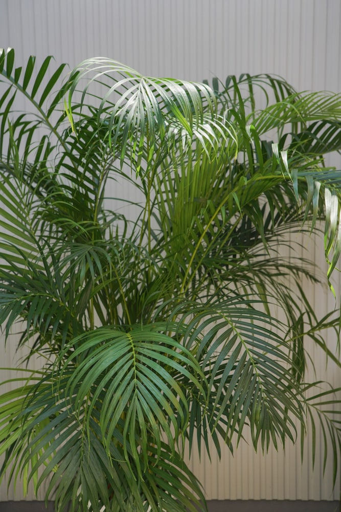 フォレスト ガーデン ビュー0 | Villa Colors A