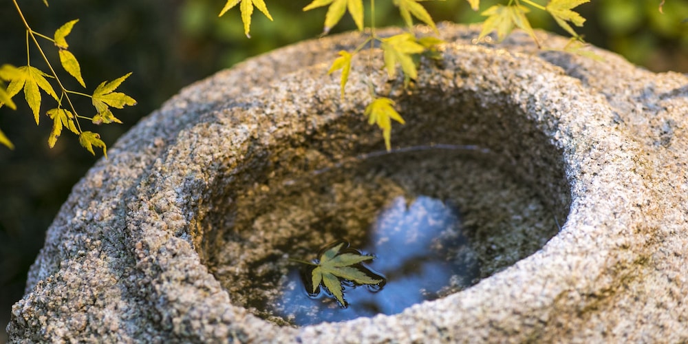 (鳥)5人部屋 2ベッドルームタウンハウス 禁煙 テラス / パティオ0 | Wow! KANAZAWA STAY