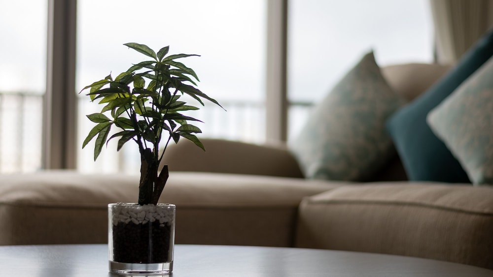 スイート 客室12 | COZY STAY IN 那覇