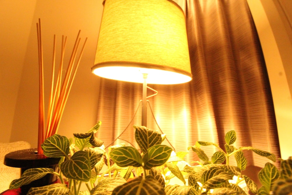 客室1 | Chatan Seaside American House AO 客室1 | Chatan Seaside American House AO