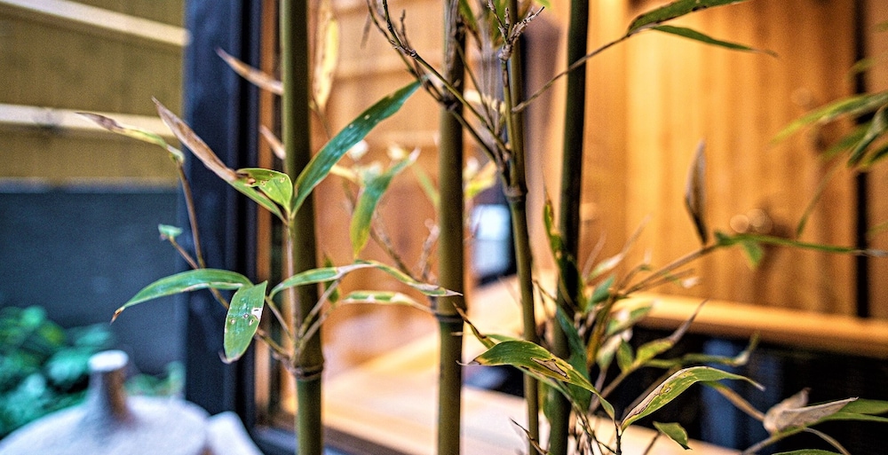 一棟貸し ガーデン ビュー0 | 京蘭 - 鏡月邸