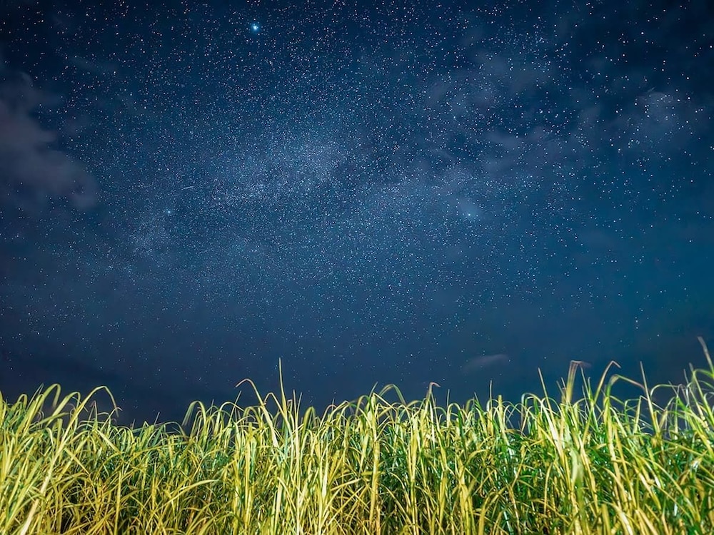 1室貸切 ロフト付き 部屋からの景観0 | アレーズド・ヴィラ白保