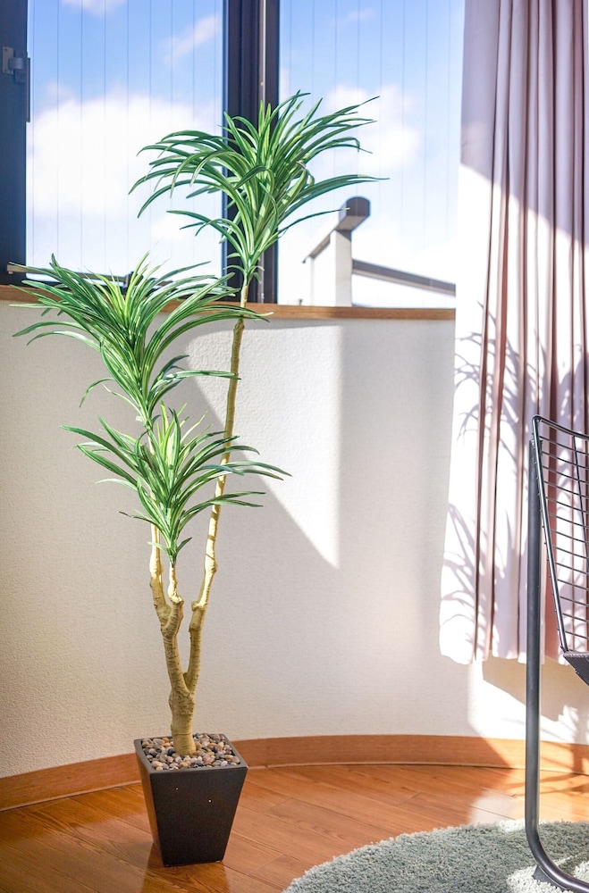 内装1 | Pine Brook 内装1 | Pine Brook