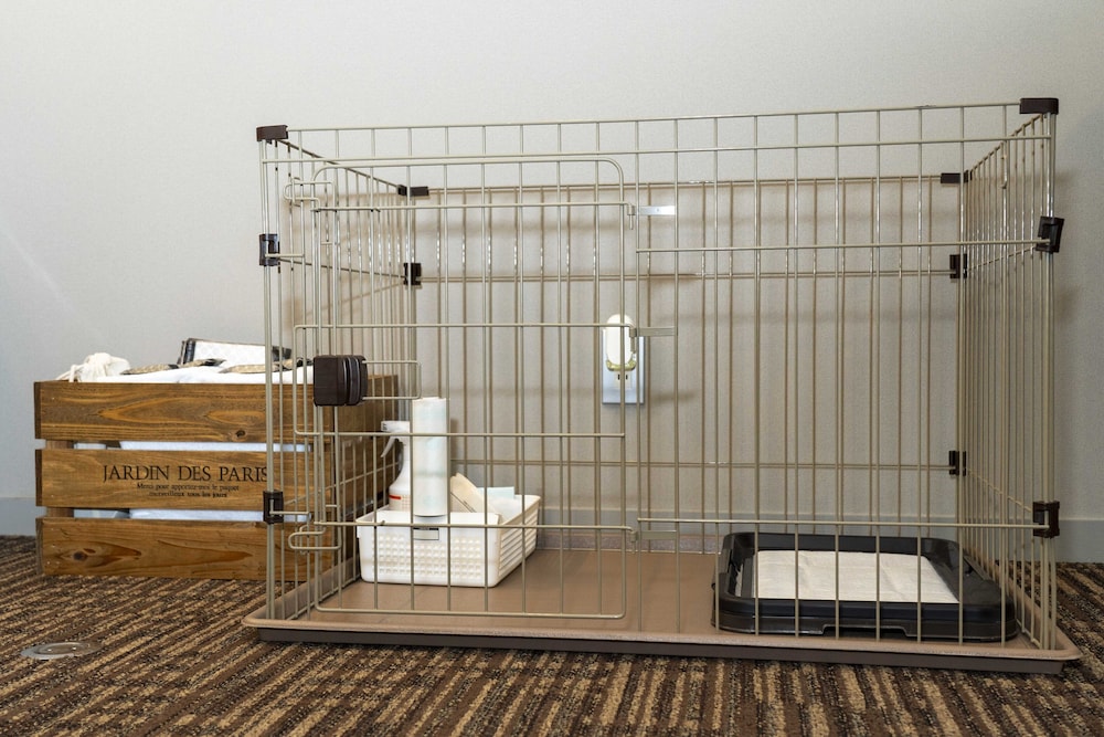 ベーシック ダブルルーム 禁煙 客室の設備とサービス3 | ソラ ホテル 軽井沢 アウトレット