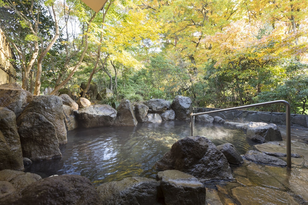 温泉2 | 花山酔 温泉2 | 花山酔