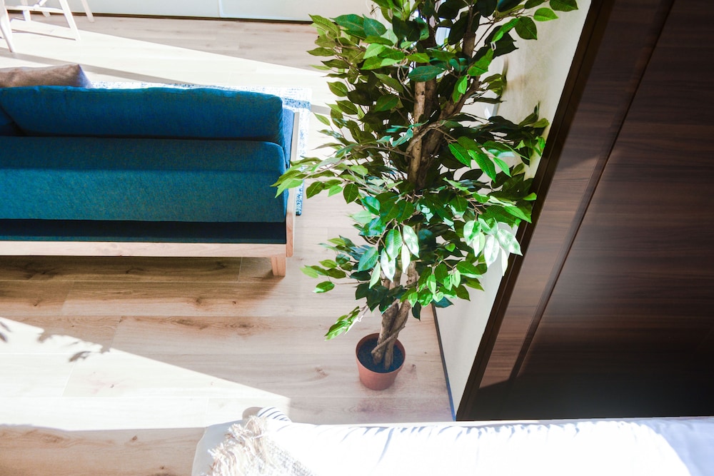 1 ベッドルーム 901 客室1 | Dash Living Tsukiji