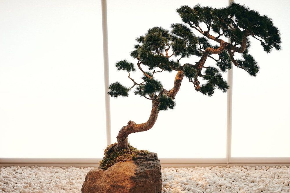 Tsuboniwa Suite 2名様用 客室6 | nol kyoto sanjo