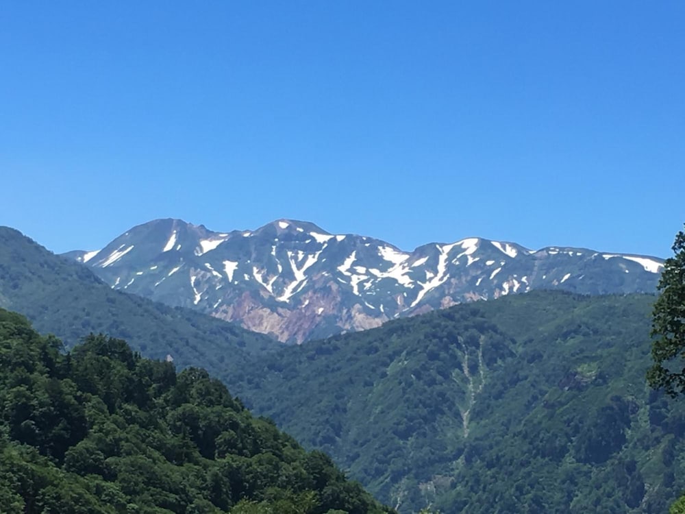 その他1 | ゲストハウス ユニラ