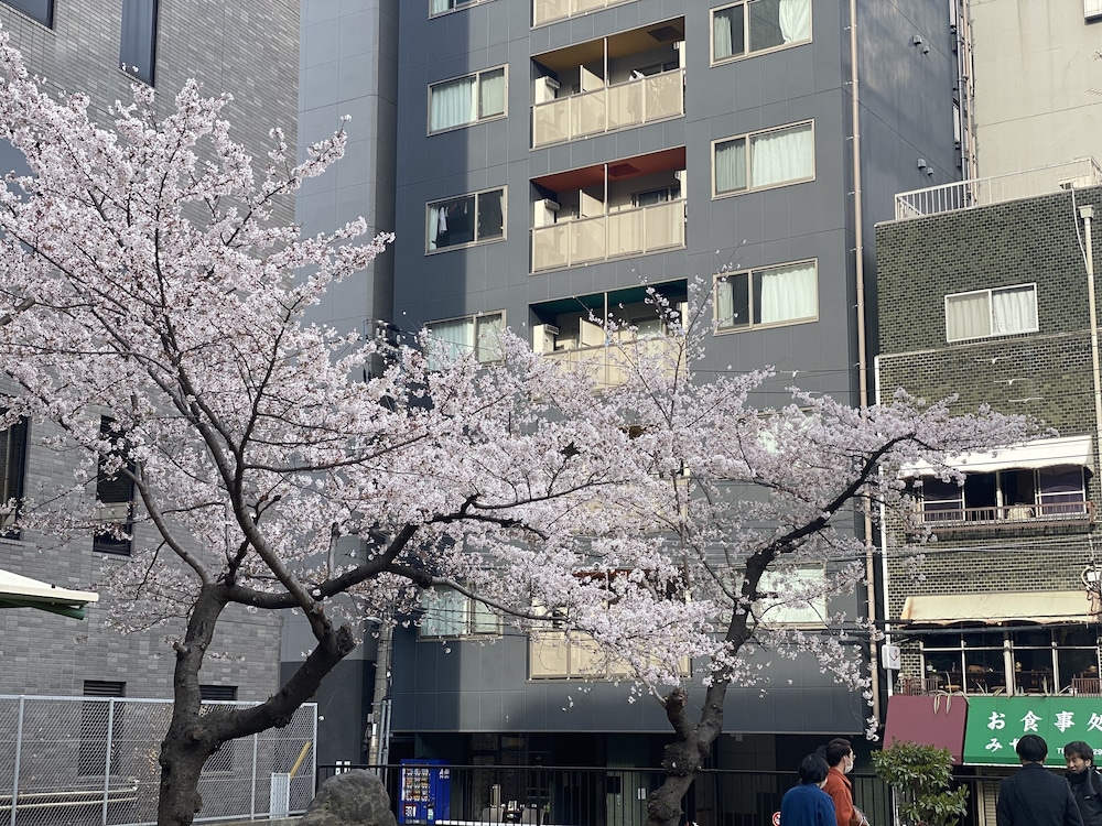 スーペリアスタジオ 禁煙 テラス / パティオ0 | HOTEL ffosaka.com