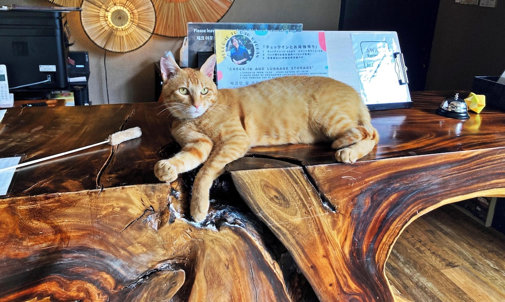 203·205·302·303·305 - 和室8畳 禁煙 客室4 | 和モダン温泉館 湯布院あかりの宿