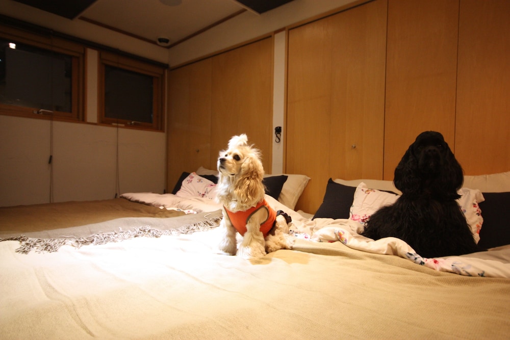 ペット同伴可1 | Sapporo Dome Front House ペット同伴可1 | Sapporo Dome Front House