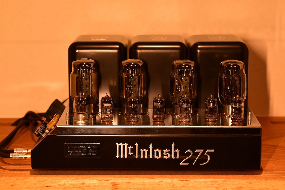 パラゴン リビング エリア4 | 湖畔遊