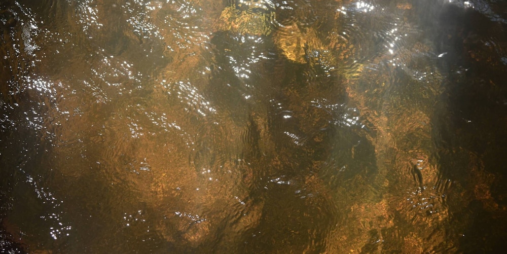 アルテック 客室2 | 湖畔遊