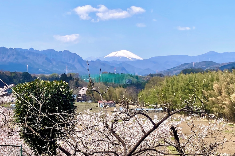 貸別荘「みつ葉邸」定員16名 禁煙 テラス / パティオ12 | みつば邸