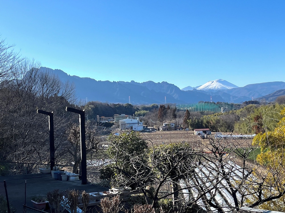 貸別荘「みつ葉邸」定員12名 テラス / パティオ4 | みつば邸
