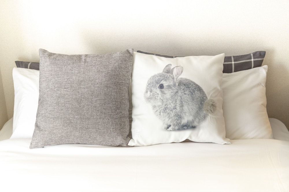 客室1 | Garden Otsuka 704