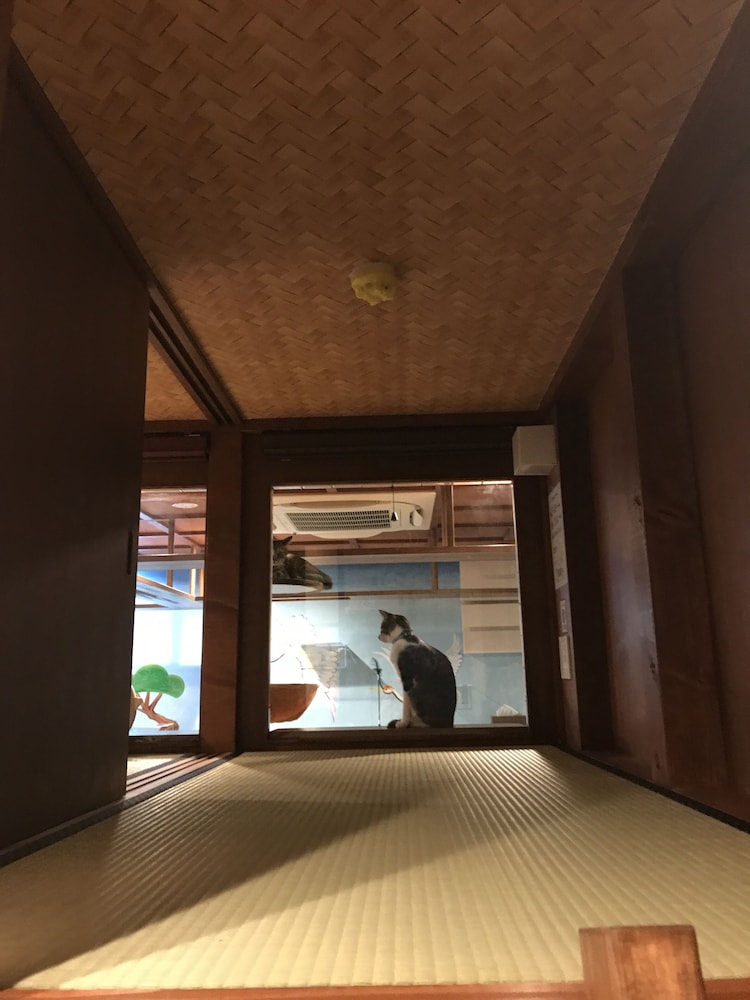 ファミリー ルーム | ねこ浴場 & ねこ旅籠 保護猫カフェ ネコパプリック大阪