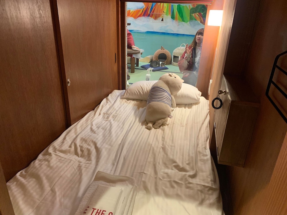 ファミリー ルーム 客室4 | ねこ浴場 & ねこ旅籠 保護猫カフェ ネコパプリック大阪