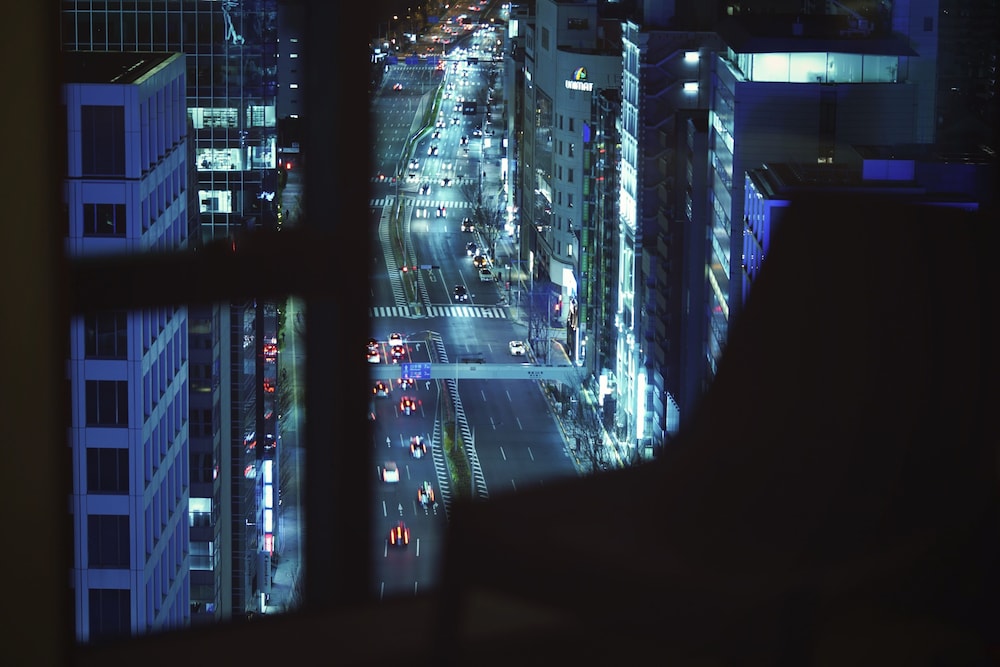 デラックスキングルーム シティビュー 禁煙 部屋からの景観0 | THE AOYAMA GRAND HOTEL