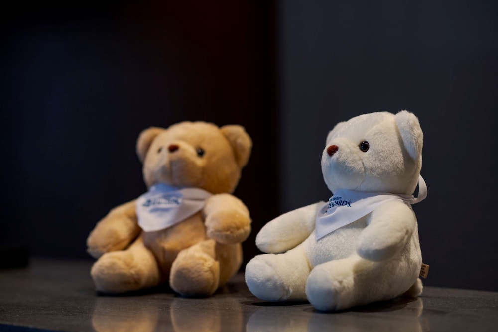 メインイメージ | ベストウェスタンプラス福岡天神南 メインイメージ | ベストウェスタンプラス福岡天神南