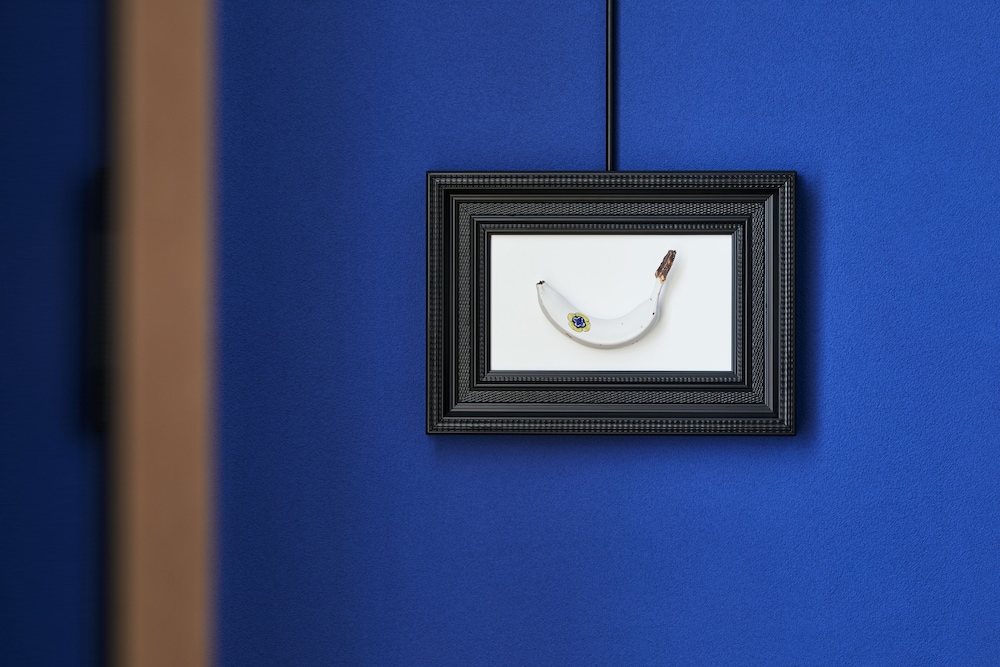 スイート キングベッド 1 台 シティビュー 客室1 | ハイアット セントリック 金沢