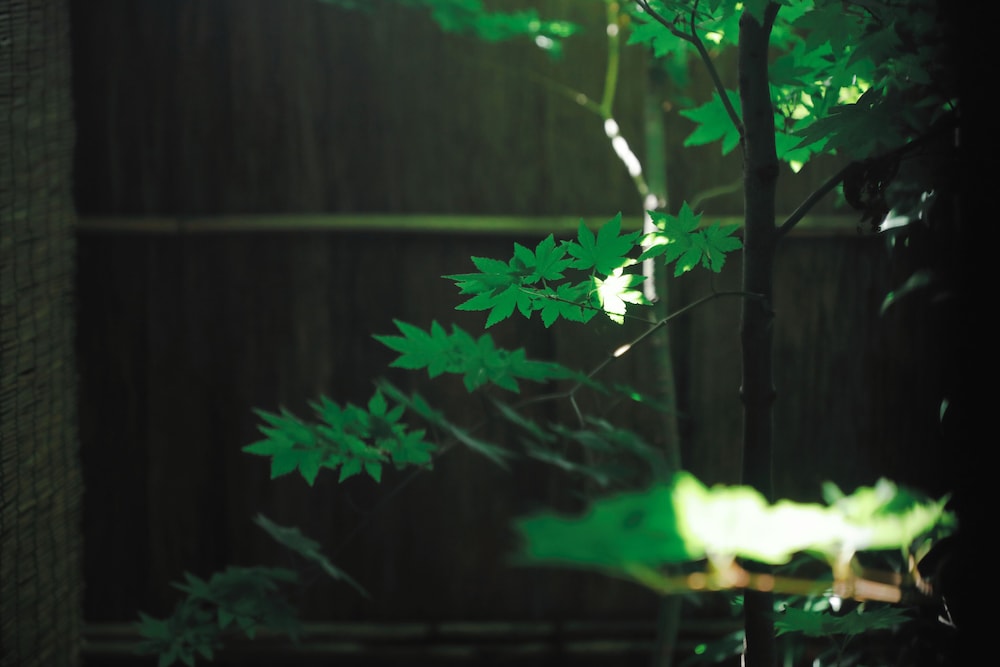 一棟貸し 半露天風呂付 客室6 | つきひの家 京都