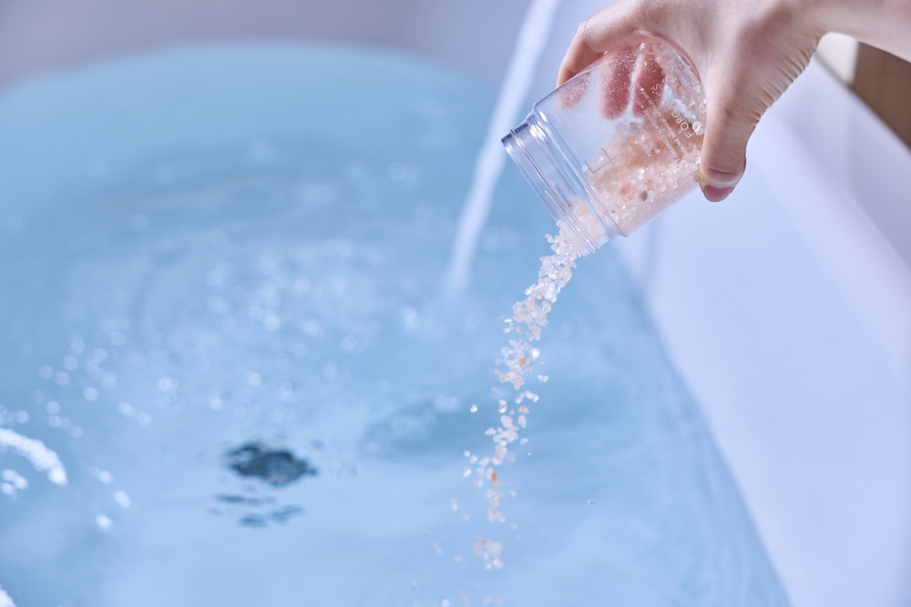 L13 パークビューツイン 客室3 | ザ タワー ホテル ナゴヤ