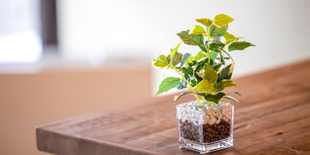 一棟貸し 伊豆Ricca 客室3 | 伊豆 Ricca