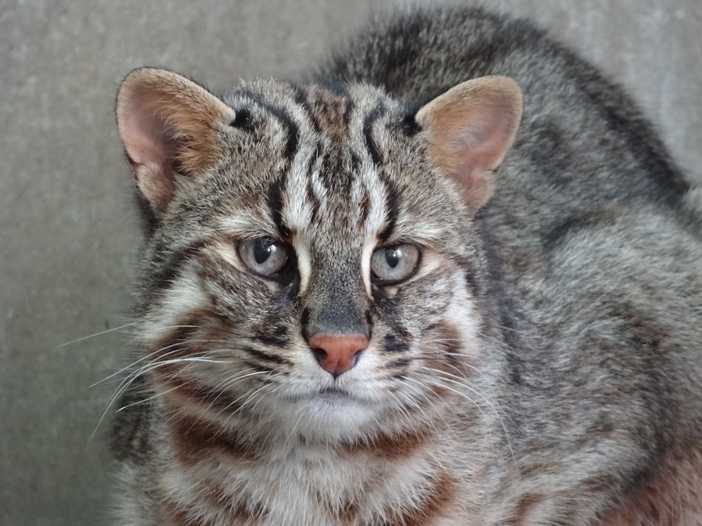 観光スポット1 | スマイルホテル佐世保