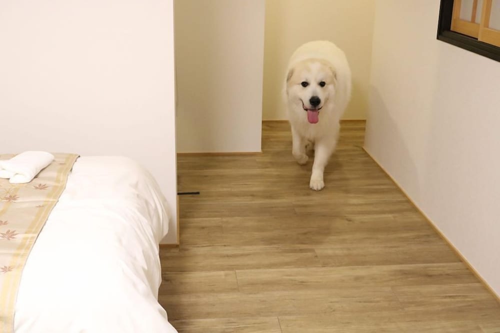 あわゆき1F, トリプルルーム 専用シャワー付 客室6 | 宮島しろ